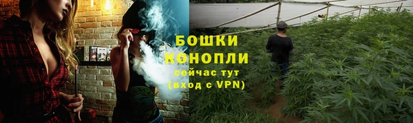 твердый Богородицк