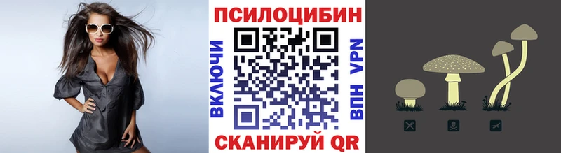 Галлюциногенные грибы MAGIC MUSHROOMS  кракен онион  Ковылкино  где можно купить  